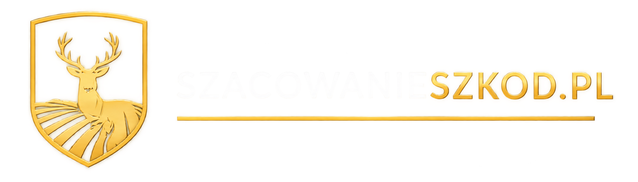 SzacowanieSzkod.pl
