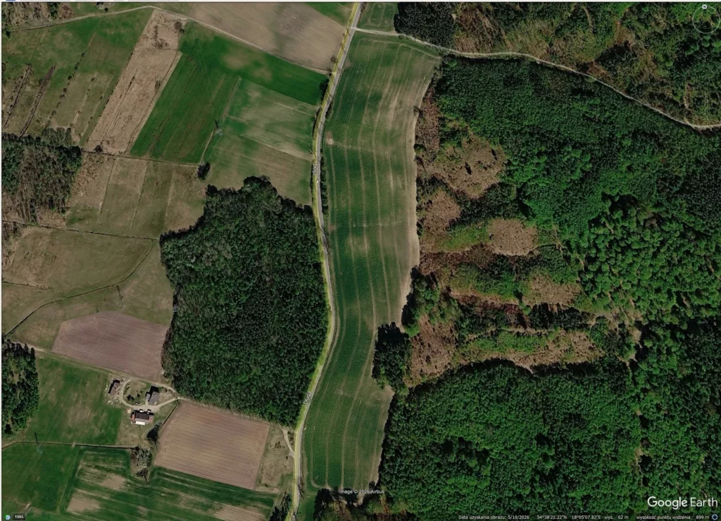 Zobrazowanie Google Earth z  Plantacja pozostaje zasadniczo zwarta, ale widoczne są lokalne różnice w kondycji łanu.